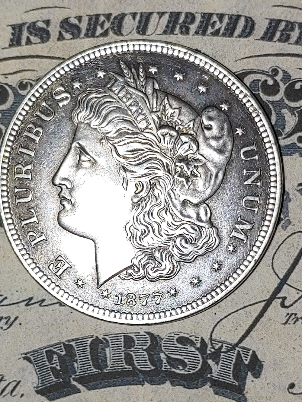Silver-Toned Decorative Morgan Coin Accent - Home Accents